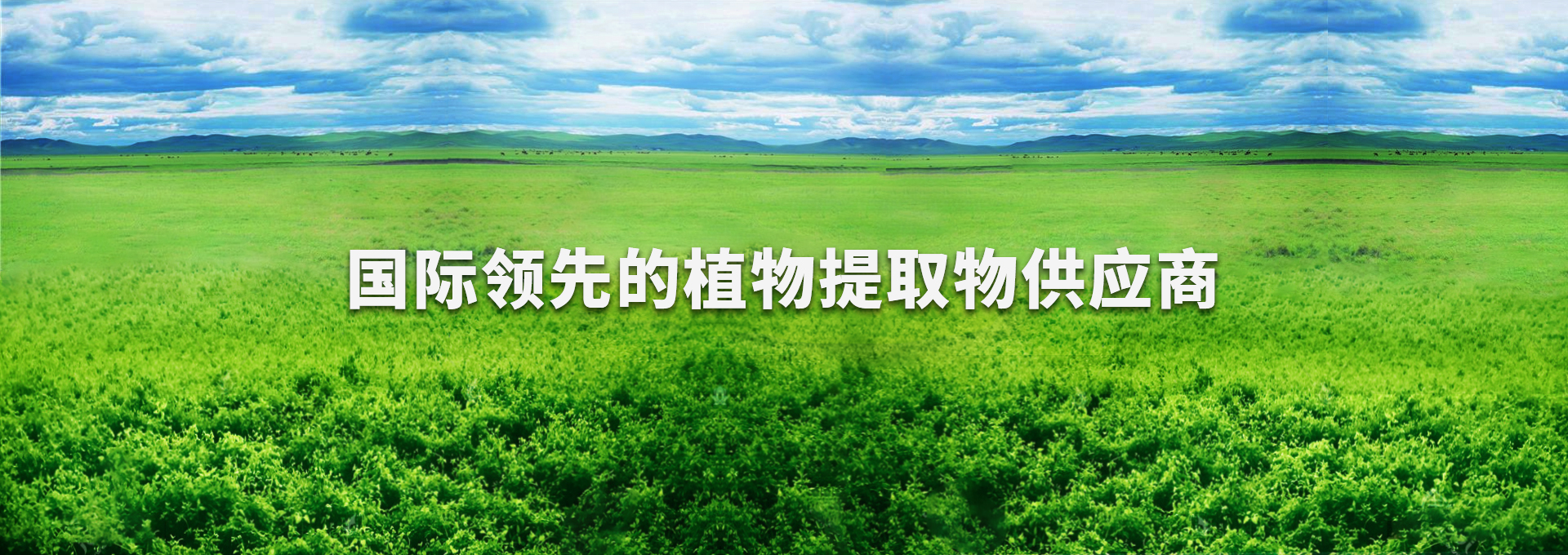 mg不朽情缘(中国)官方网站