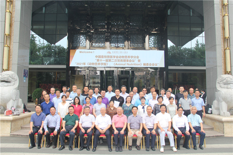 mg不朽情缘(中国)官方网站