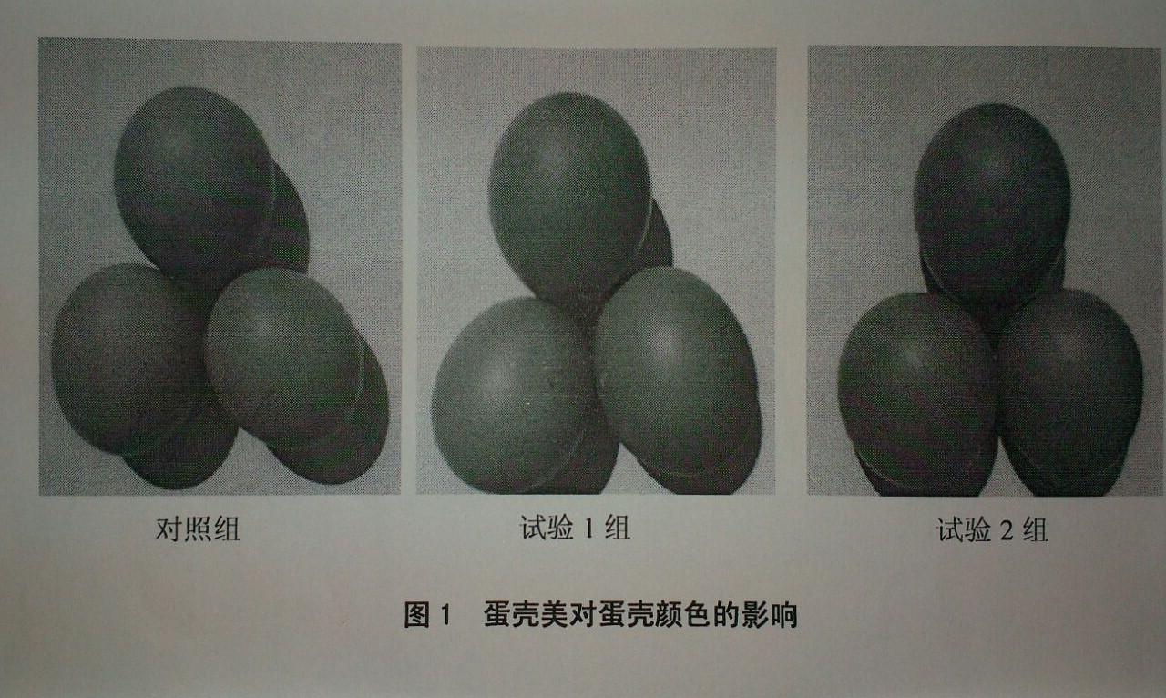 mg不朽情缘(中国)官方网站