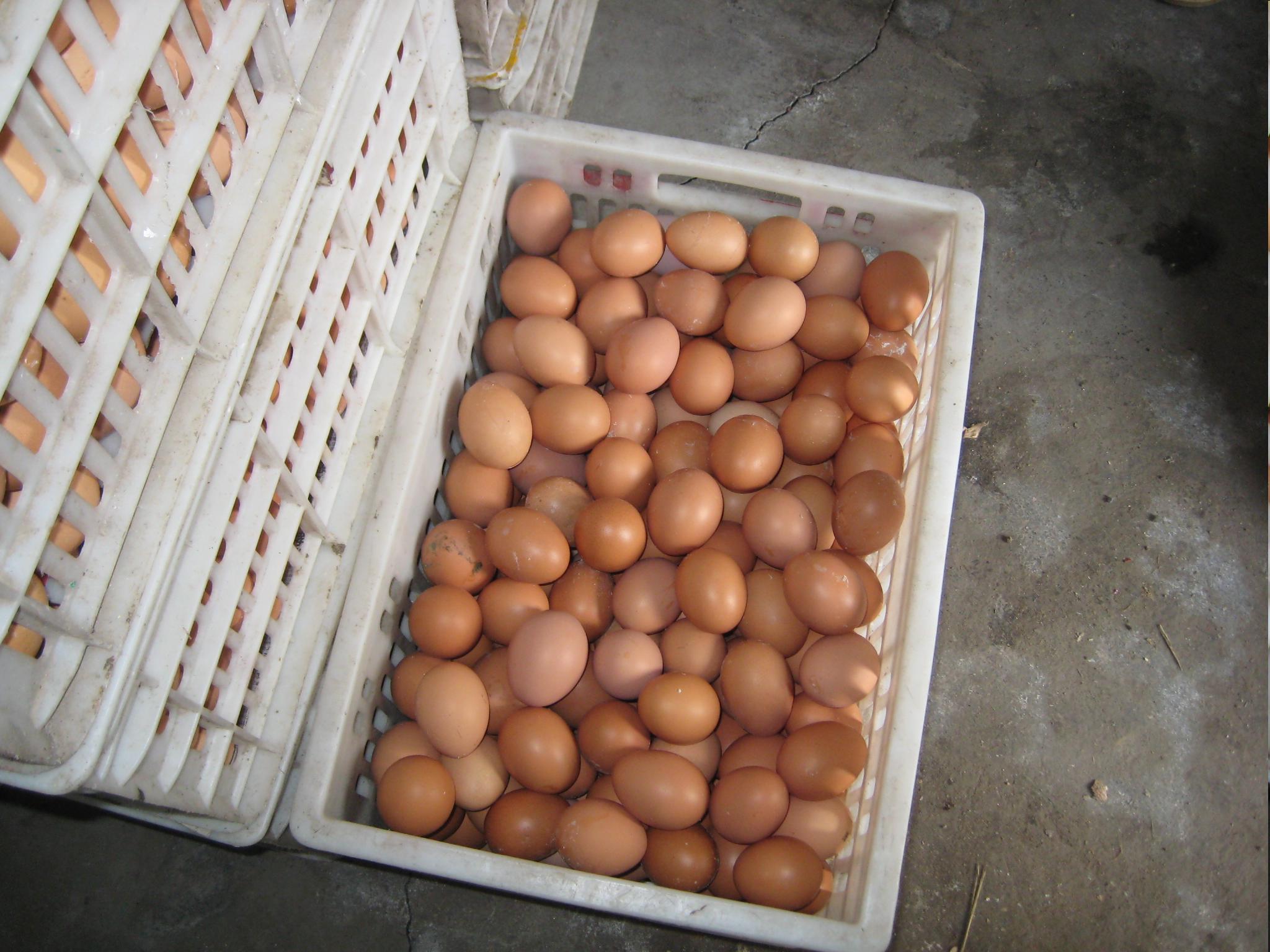 mg不朽情缘(中国)官方网站