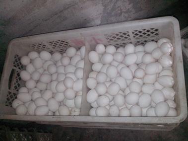 mg不朽情缘(中国)官方网站