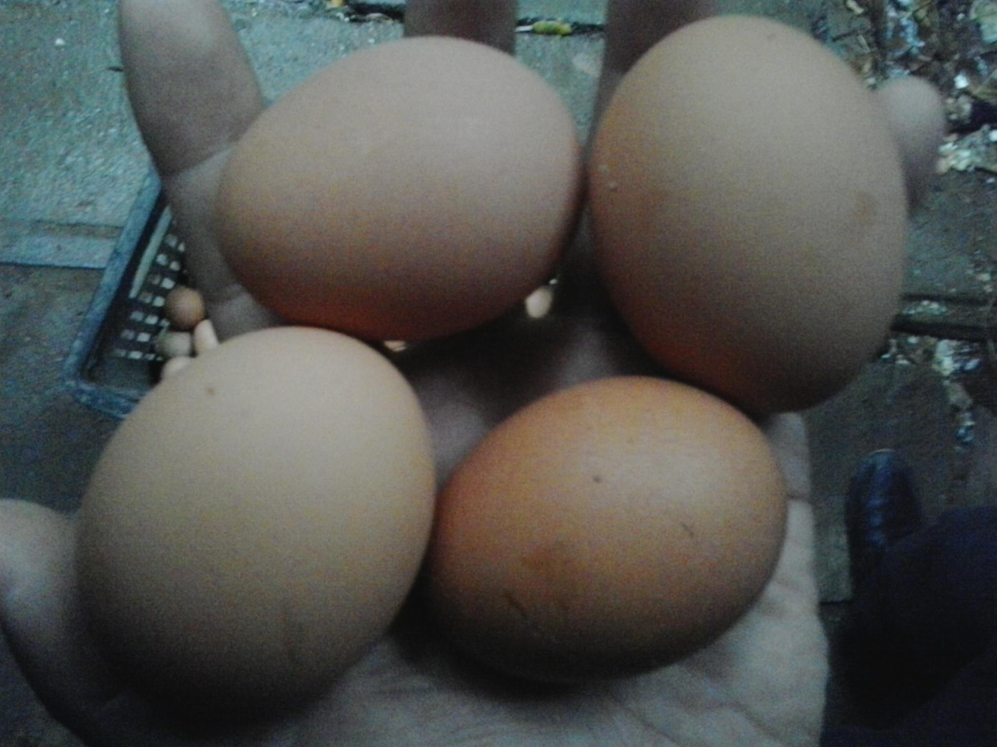 mg不朽情缘(中国)官方网站