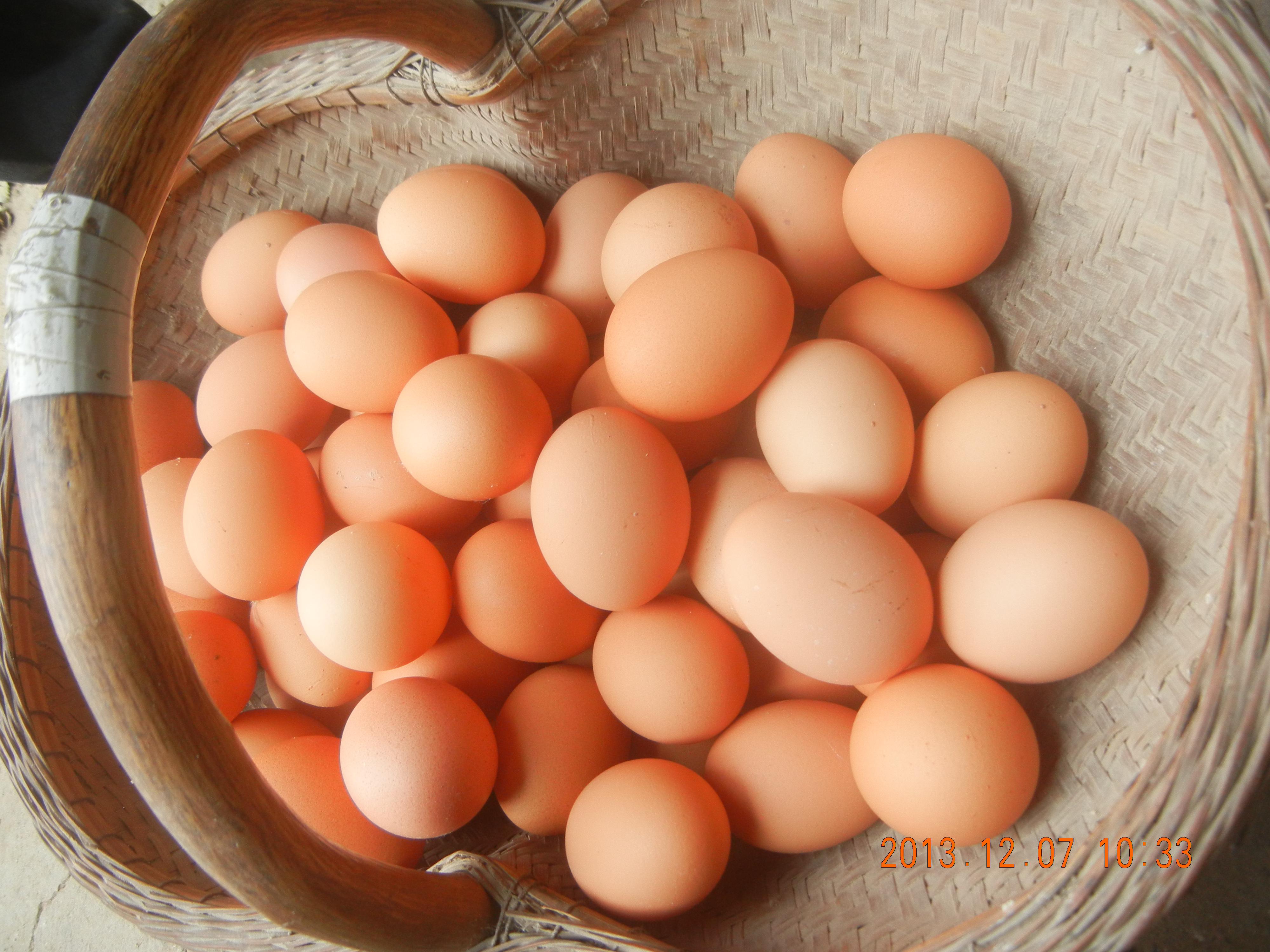 mg不朽情缘(中国)官方网站