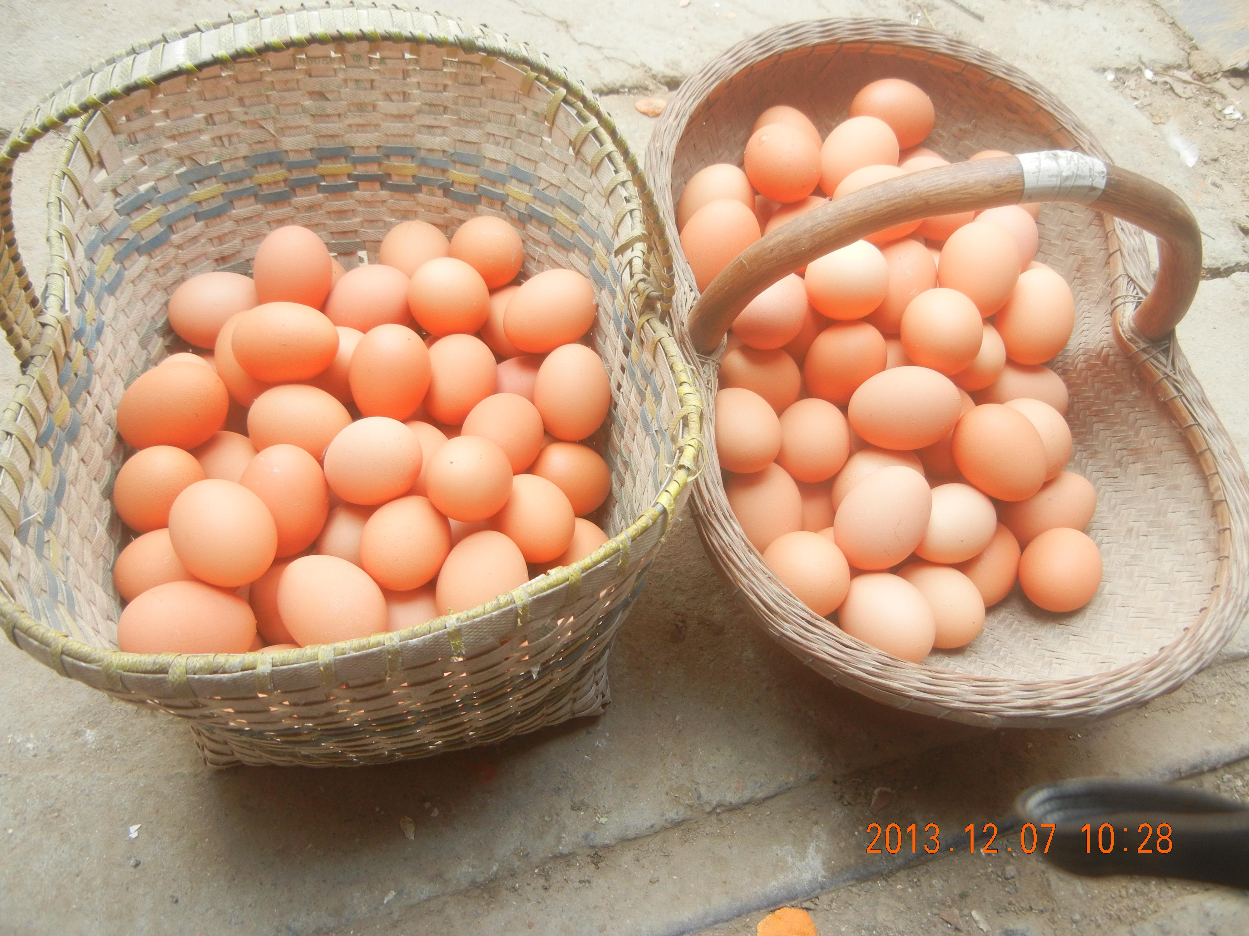 mg不朽情缘(中国)官方网站