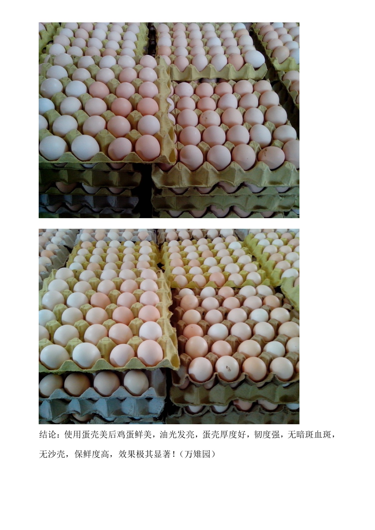 mg不朽情缘(中国)官方网站